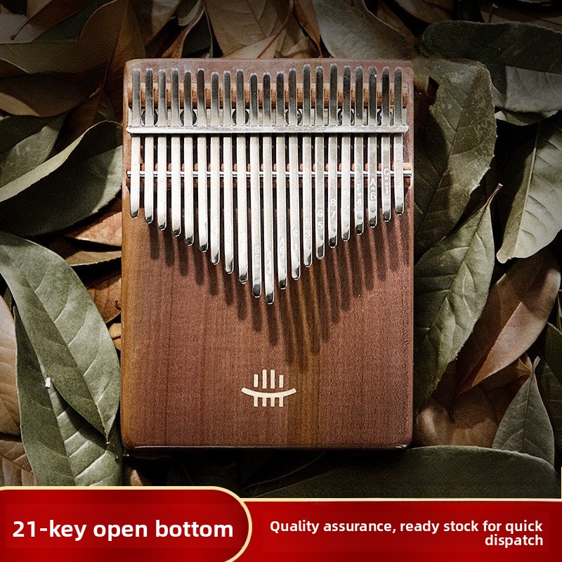 Class B Bottom Perforated Thum - Musical Instrument Band ulasan dan harga