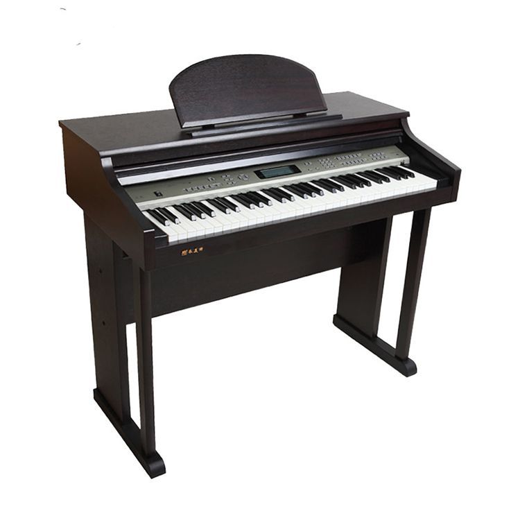Stylish 61-Keys Portable Digit - Musical Instrument Organ ulasan dan harga