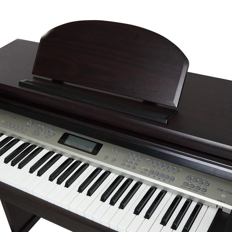 Stylish 61-Keys Portable Digit - Musical Instrument Organ ulasan dan harga