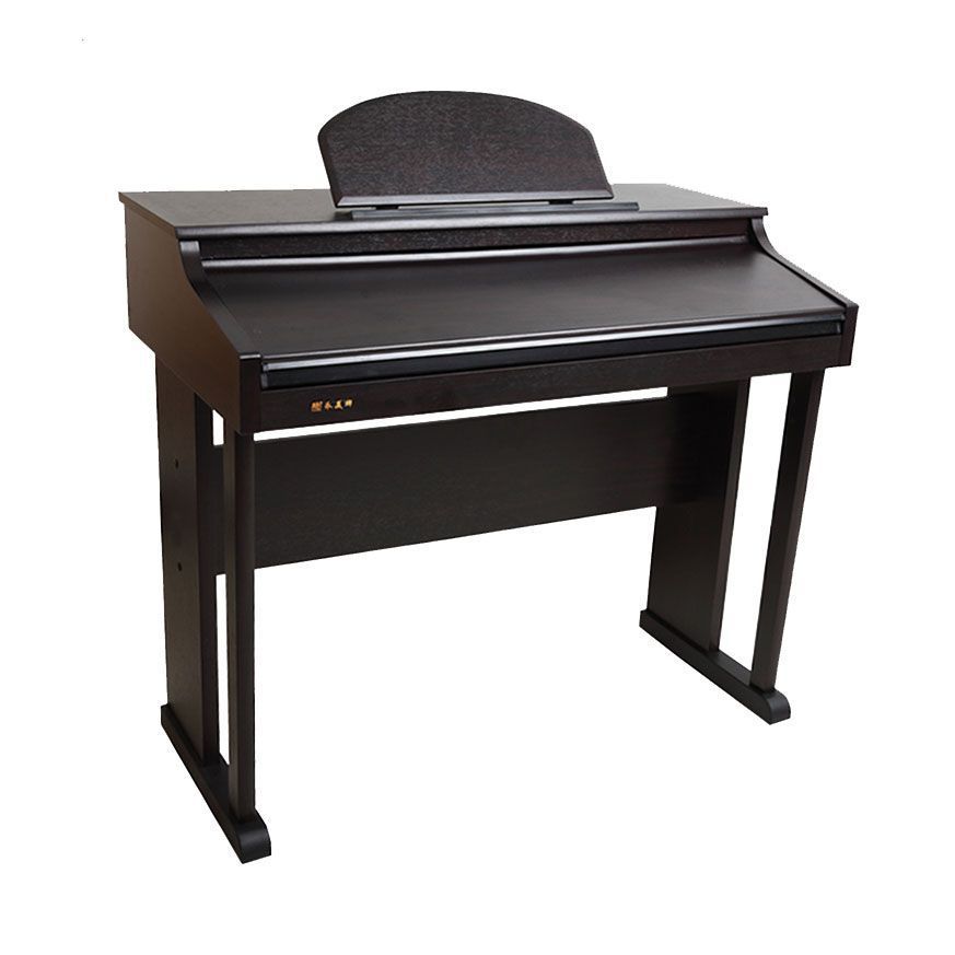 Stylish 61-Keys Portable Digit - Musical Instrument Organ ulasan dan harga