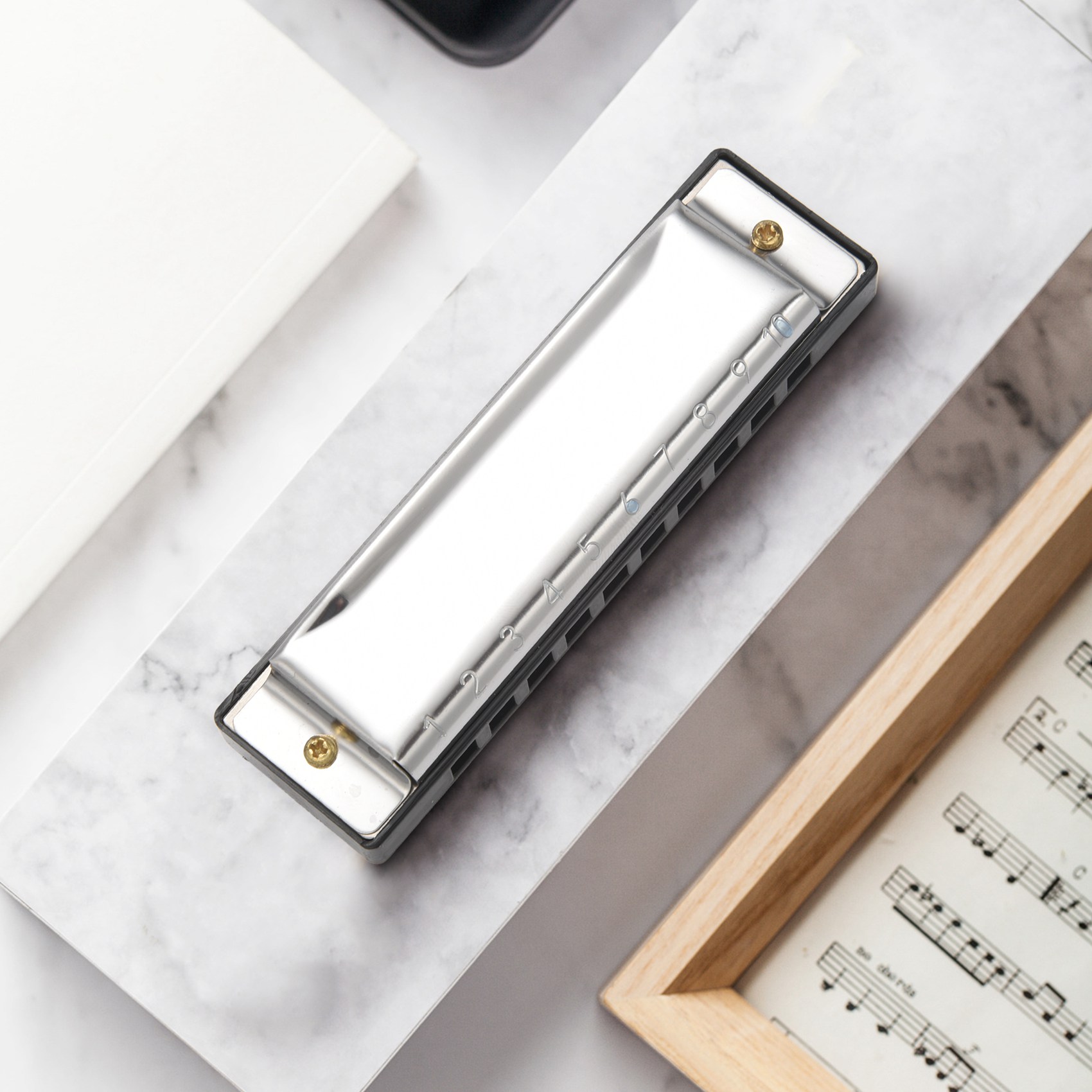 ABXY 10 Holes Blues Harmonica  - Musical Instrument Organ ulasan dan harga