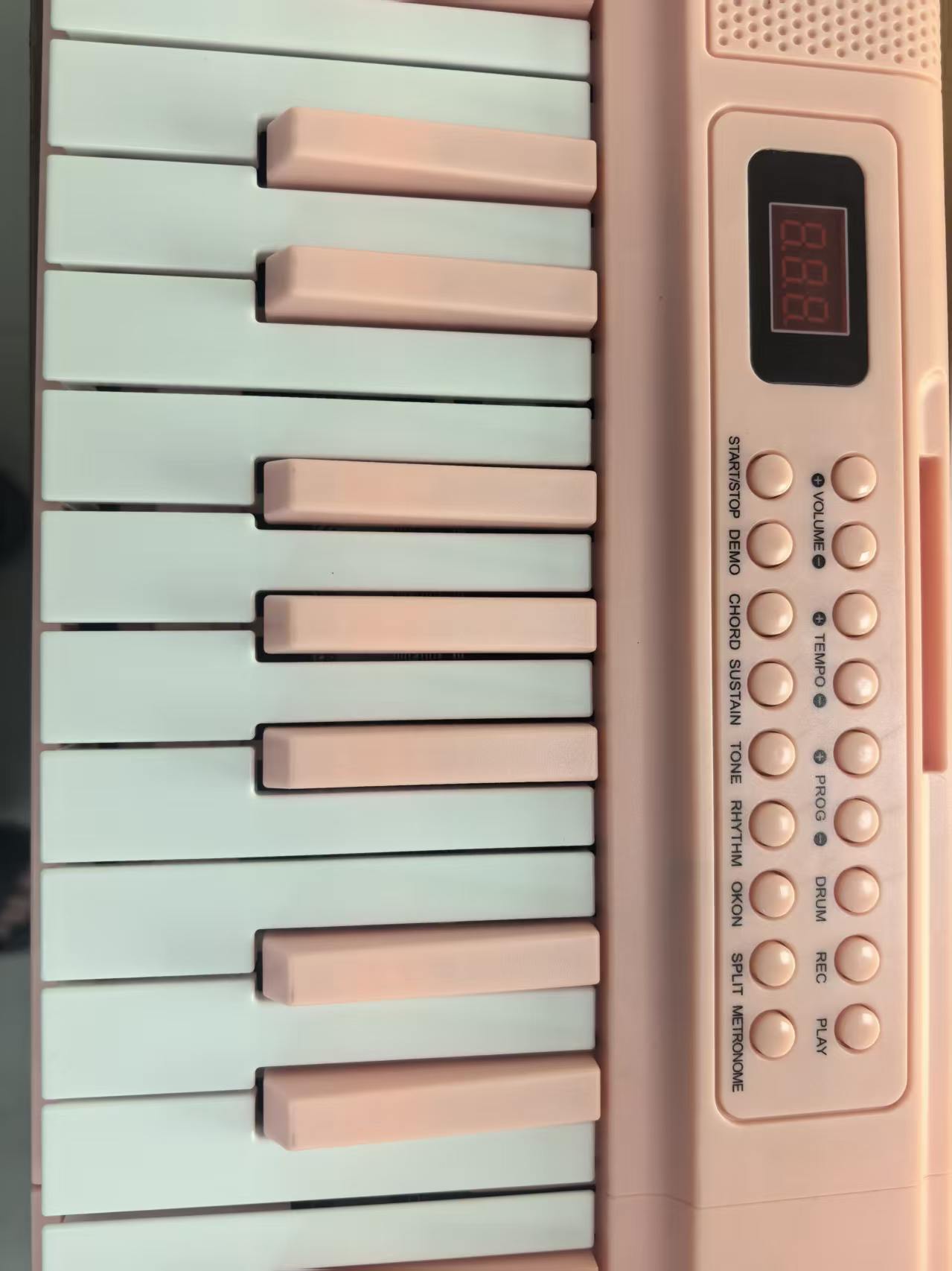 61-Key Portable Digital Piano  - Musical Instrument Organ ulasan dan harga