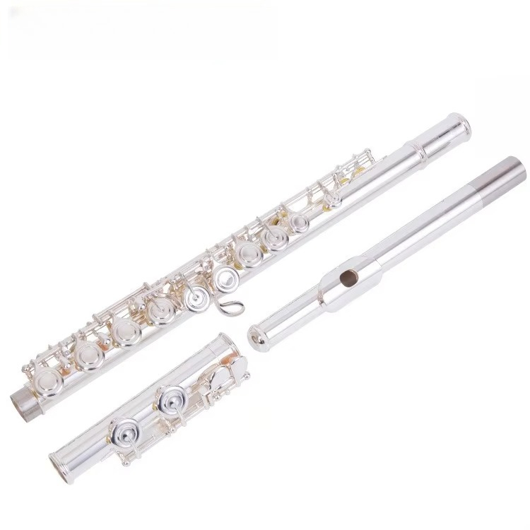 C Key Nickel Plated Brass Prof - Musical Instrument In Orchestra ulasan dan harga