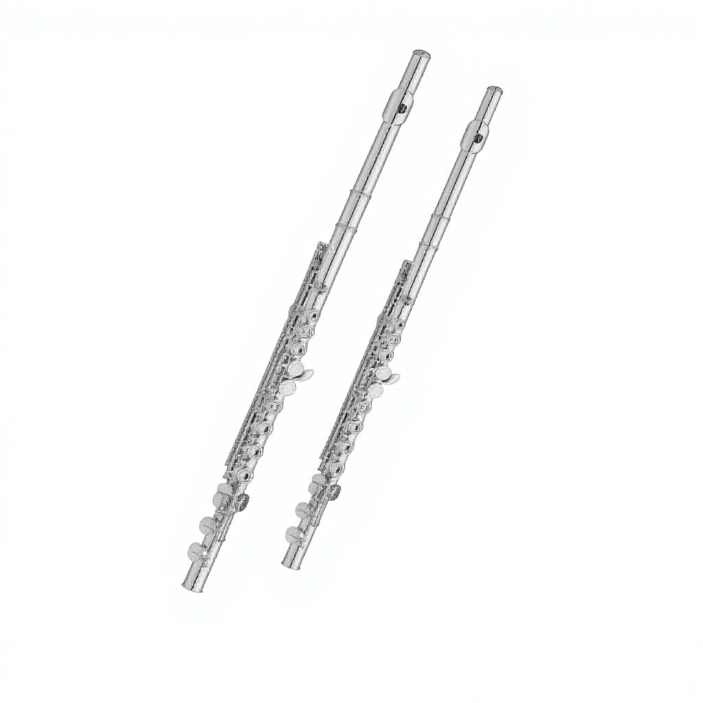 C Key Nickel Plated Brass Prof - Musical Instrument In Orchestra ulasan dan harga