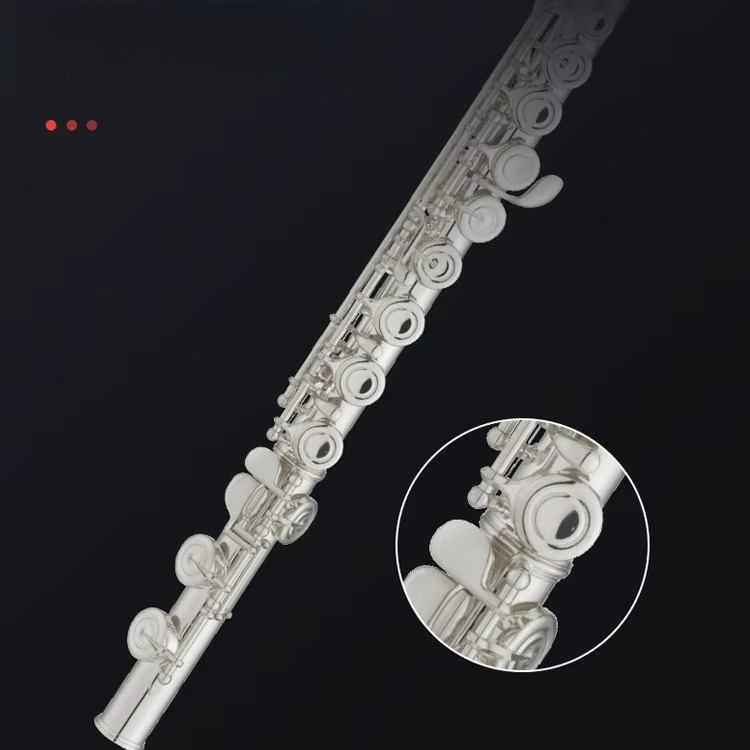 C Key Nickel Plated Brass Prof - Musical Instrument In Orchestra ulasan dan harga