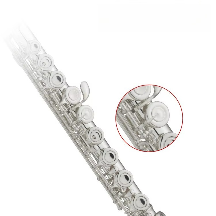 C Key Nickel Plated Brass Prof - Musical Instrument In Orchestra ulasan dan harga
