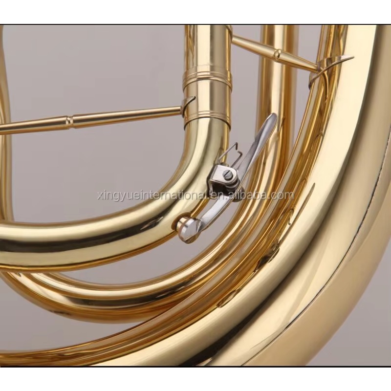 Professional Euphonium Musical - Musical Instrument Euphonium ulasan dan harga